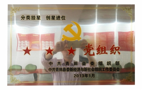 资质声誉-新利体育,电子式电能,智能电能表,智能开关,智能AMI系统,物联网解决计划,官方网站