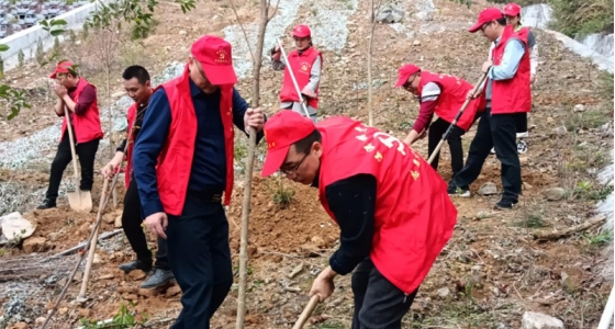 村企共建，，，，，共植先锋林