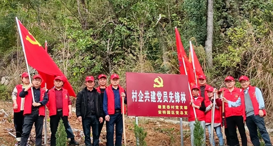 村企共建，，，，，，共植先锋林