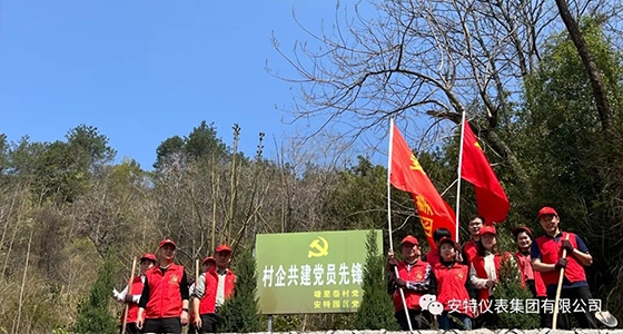 党建强引领，，，共植先锋林