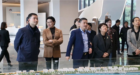 民革中央副主席吴晶调研新利体育集团