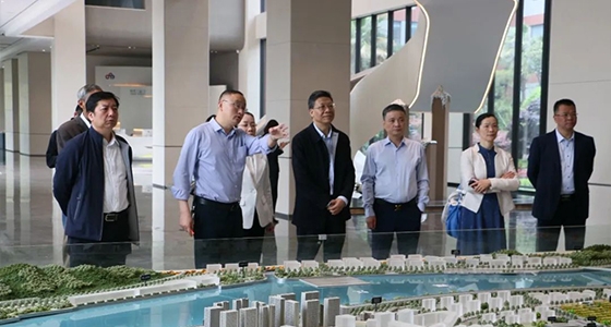 省人大常委会委员陈根芳调研新利体育集团
