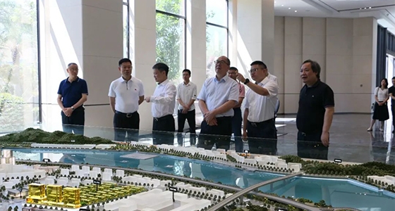省委政研室童主任一行调研新利体育集团