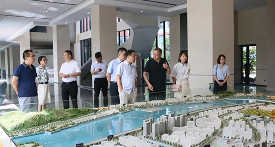 中央党校调研新利体育集团