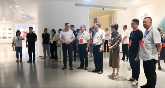 丽水市第五届人大代表景宁中心组调研新利体育集团