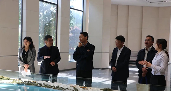 丽水市委统战部一行调研新利体育仪表集团